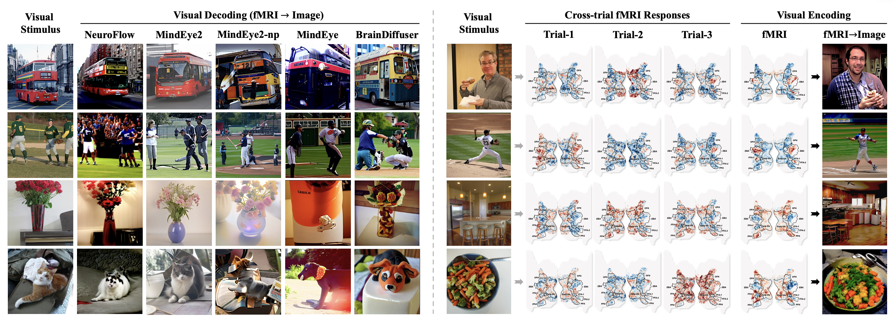 Overview of NeuroFlow