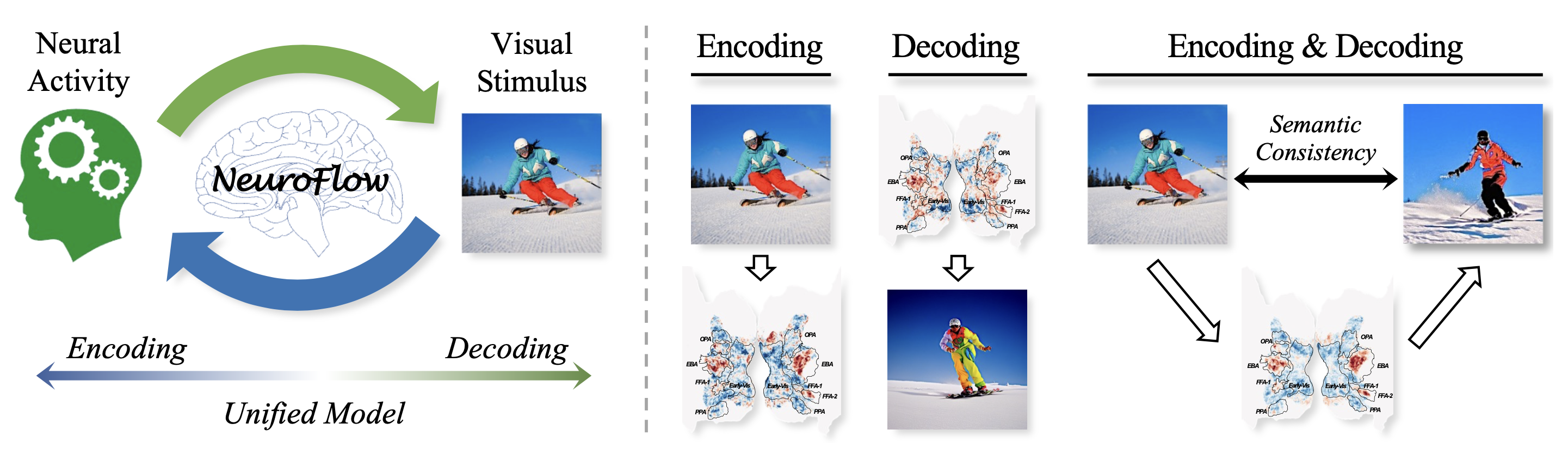 NeuroFlow Framework Overview